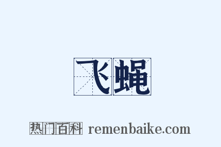 飞蝇是什么意思的图片